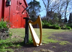 Harp hire gold 26 string harp