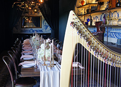 harp music background for dining elactric gold harp