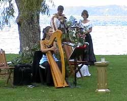 Harp and Voice at Druidic Wedding